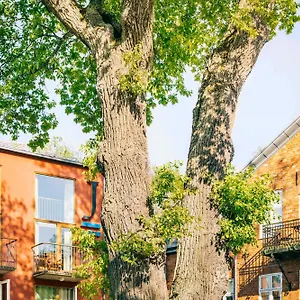 J, Stockholm, A Member Of Design 4*